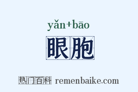 眼胞是什么意思的图片